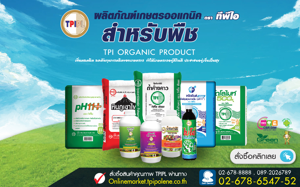 ทีพีไอ โพลีน